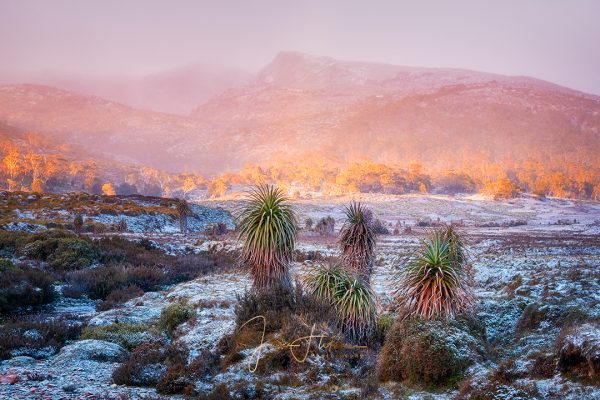 Cradle Mountain