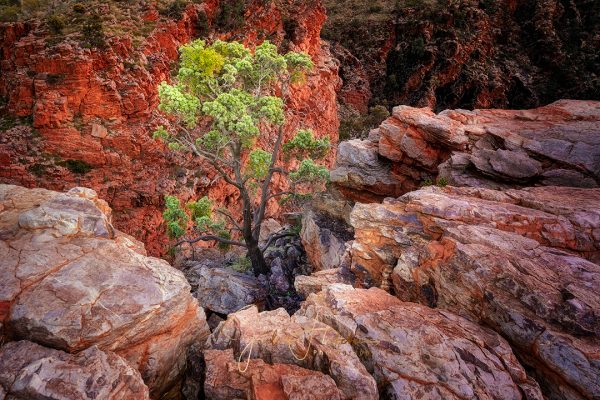 Traphina Gorge